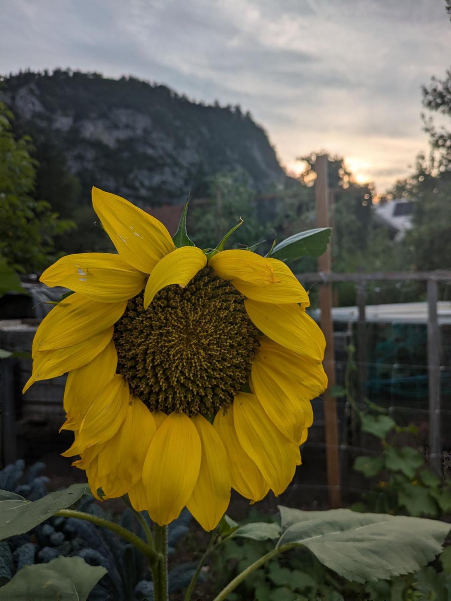 Gorski Biser Mojstrana Exterior foto